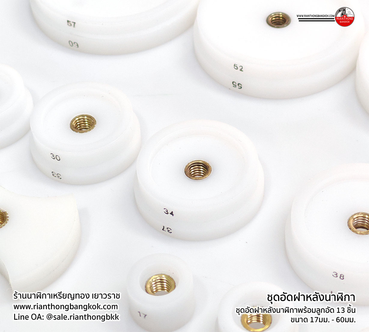 ชุดอัดฝาหลัง - กระจกนาฬิกาชนิดกดอัด รุ่น 3120